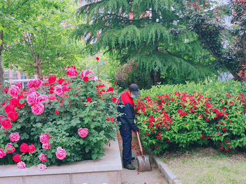 图片 8_副本.png